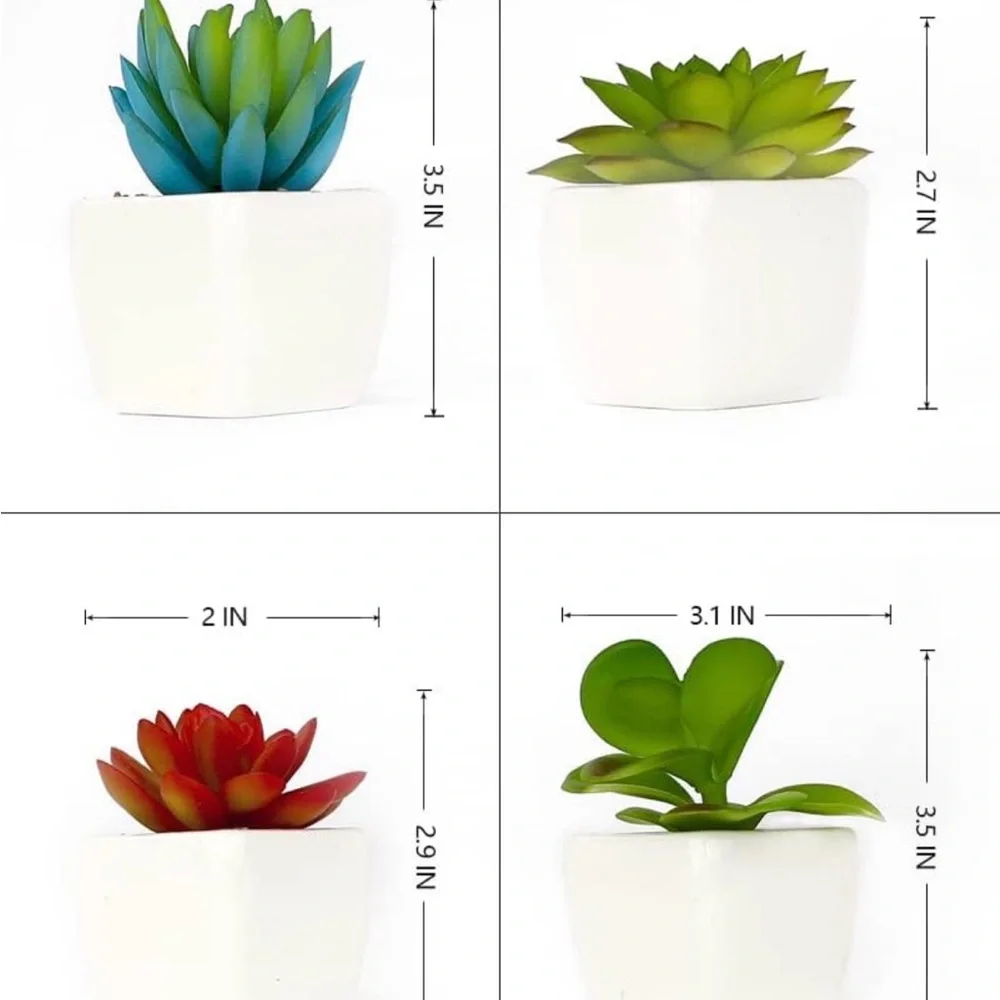 Set of 4 Faux Succulent Plants in White Ceramic Pots
